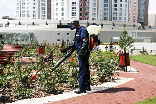 8U5Y8A5P14072010021624